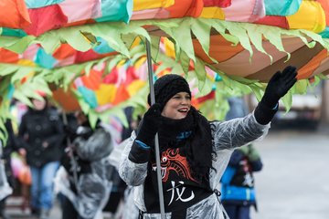 Bild 311 - Latuff 2017